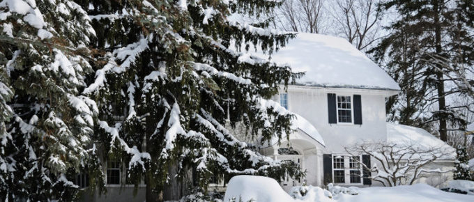 Winter house behind fir trees