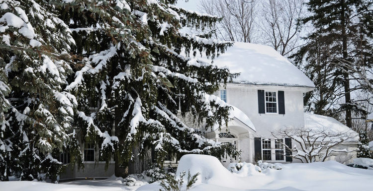 Winter house behind fir trees