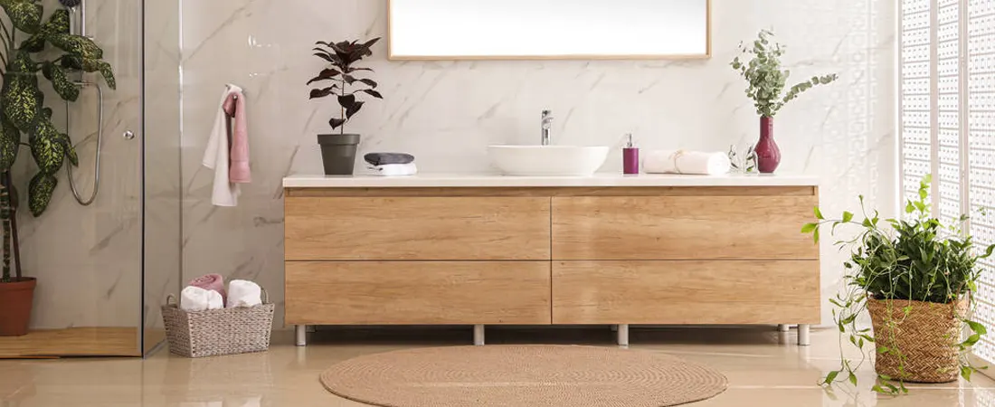 BlogHeader_BathroomTrends.webp